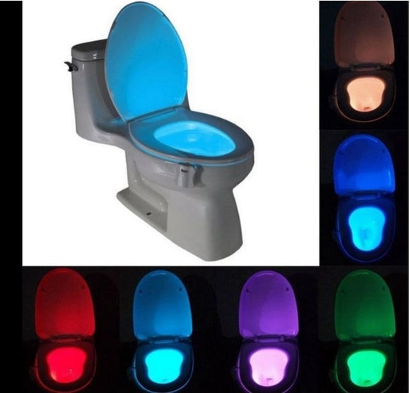 LED Night Light PIR Motion Sensor 8 Colors Automatic Change Toilet Light